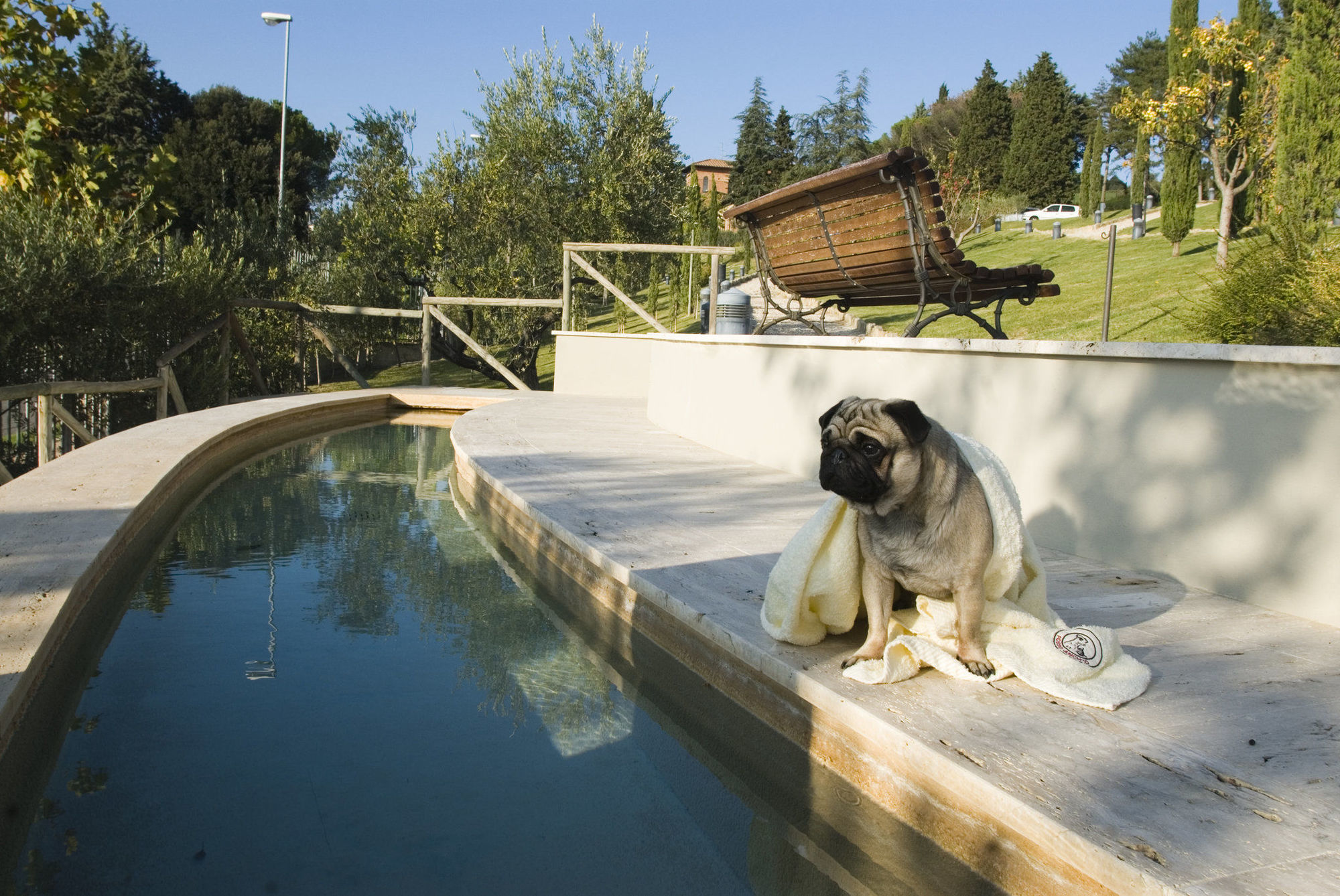 Fonteverde Lifestyle & Thermal Retreat - The Leading Hotels Of The World ซานกัสชาโน ดี บาญญี สิ่งอำนวยความสะดวก รูปภาพ A dog at a swimming pool